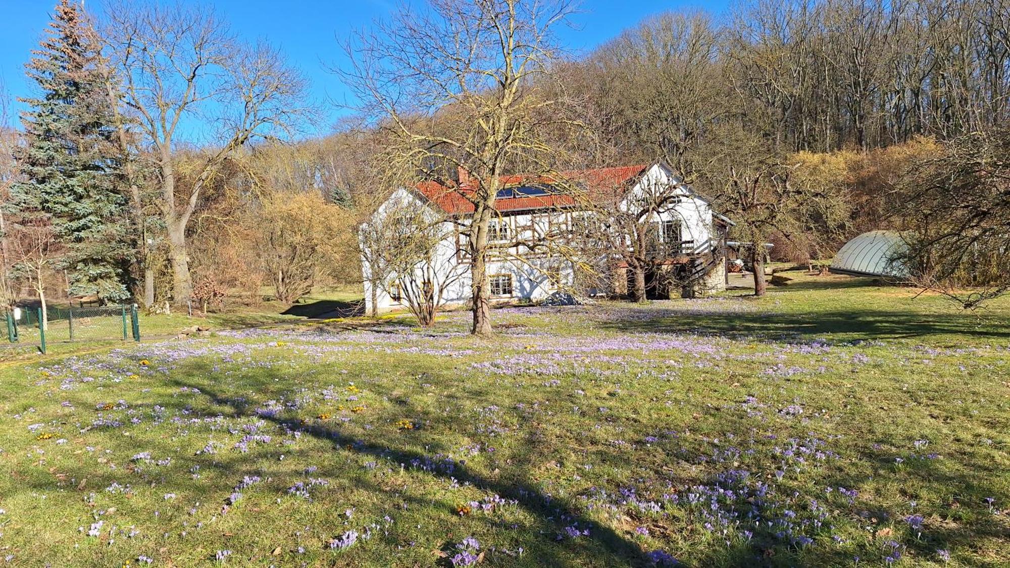 Ferienwohnung Obermuehle Ballstädt Rum bild