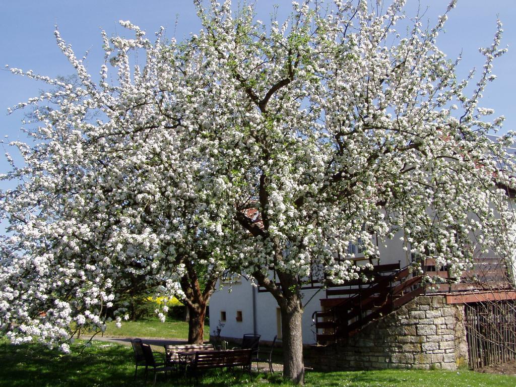 Ferienwohnung Obermuehle Ballstädt Rum bild