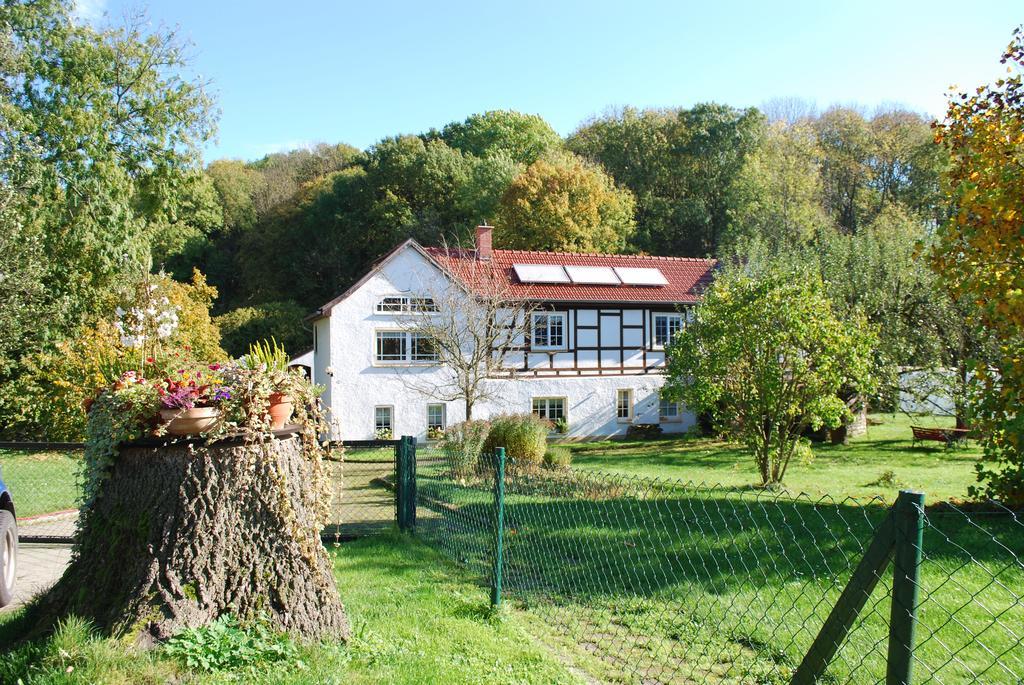 Ferienwohnung Obermuehle Ballstädt Rum bild